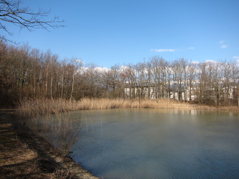 Etang de Colovrex 2