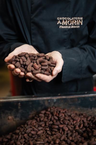 Chocolaterie  A. Morin_Donzère