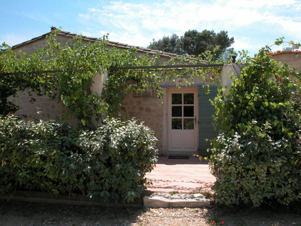 Sienne, Barbentane - photo 16