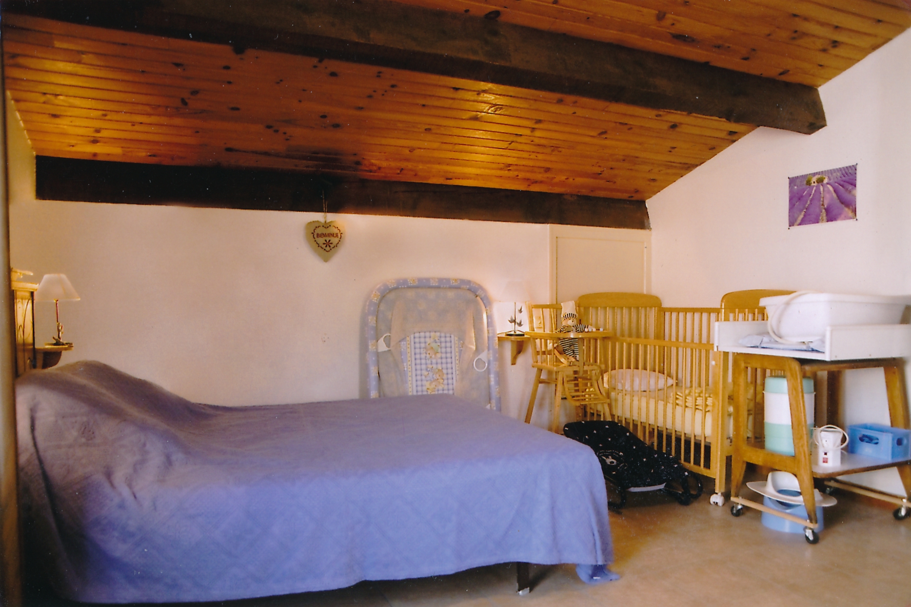 La Maison Fleurie - photo 5