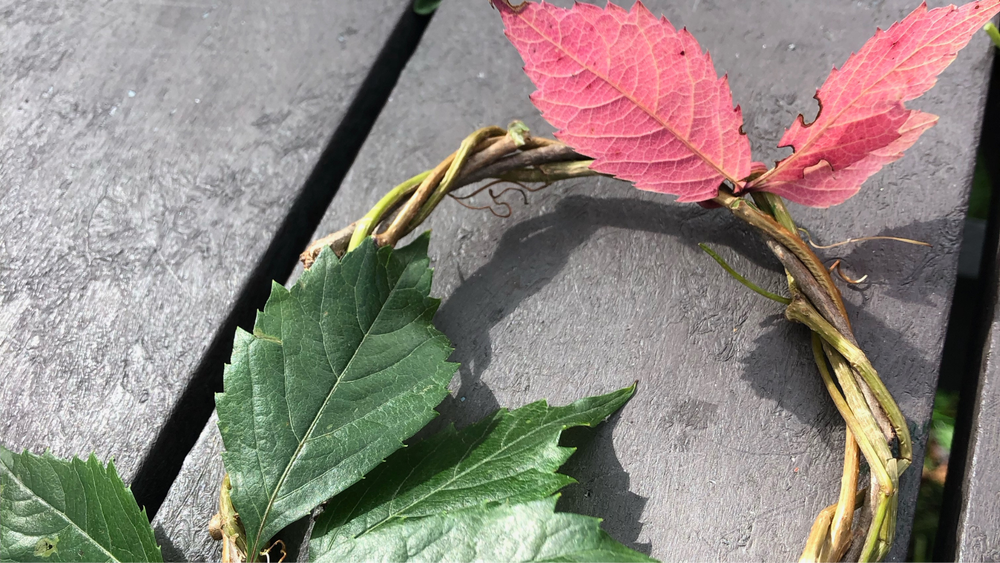 Atelier lecture et nature : le printemps