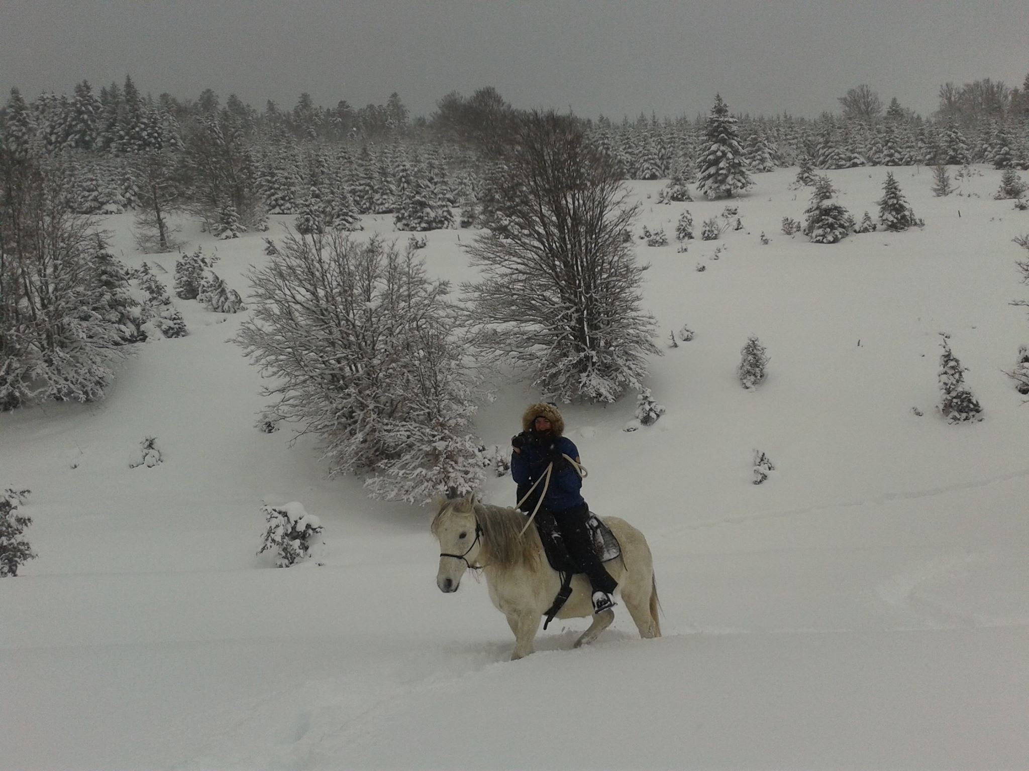 Balades hivernales dans la plaine de Vassieux en Vercors