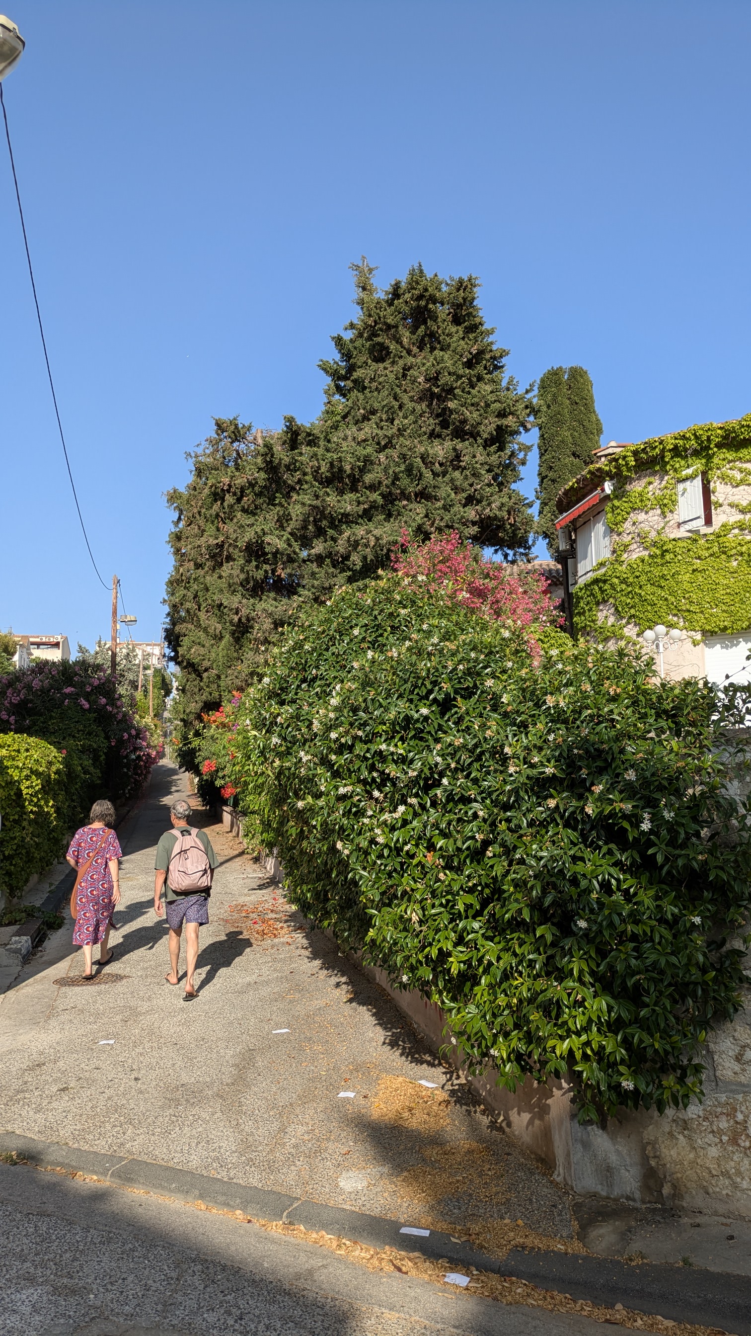 Parcours fraîcheur "Cool Noons" : escapade à Endoume - photo 4