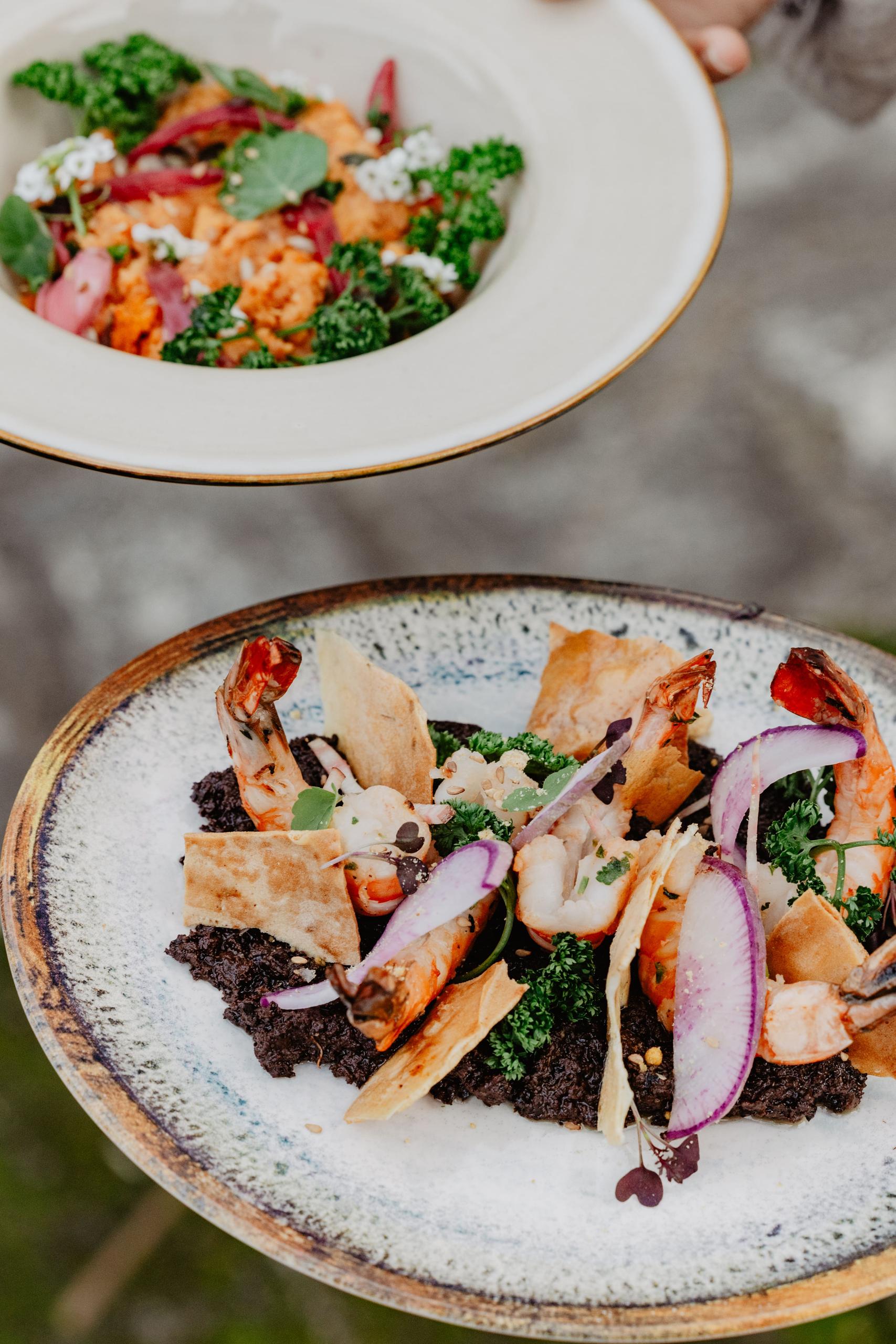 Food discovery | Grape Explorers