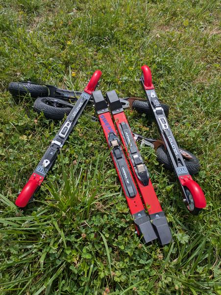 Découverte du ski-roues_Habère-Poche