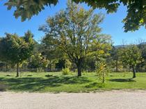 Camping municipal Verdon Carajuan