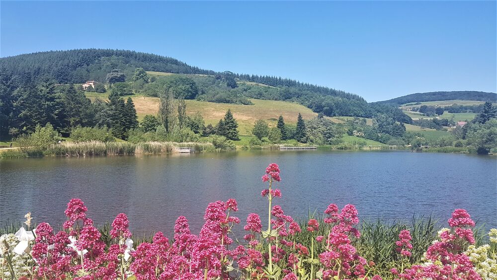 Lac du Ronzey Yzeron
