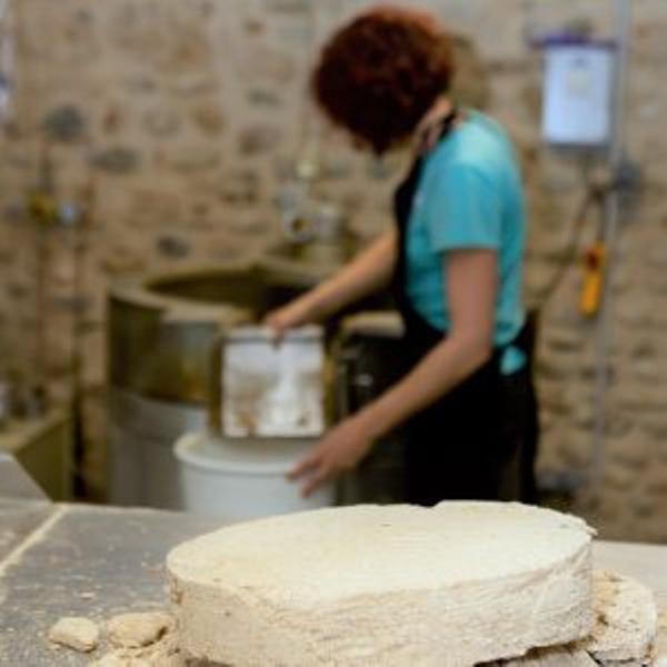 Moulin la Belle Huile -Saint Hilaire du Rosier
