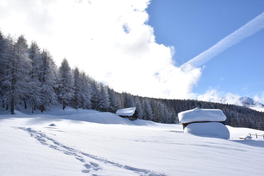 Itinéraire randonnée pédestre : Les Frasses_Montchavin-les-Coches
