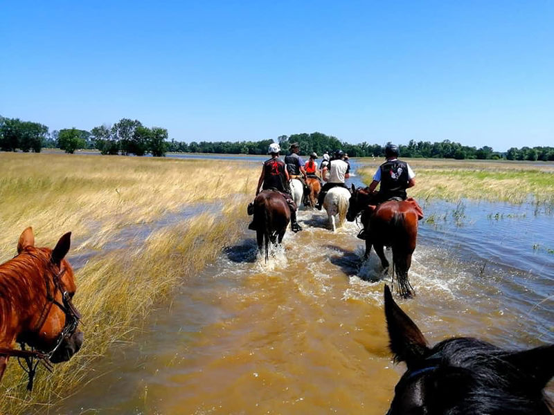 Circuit des Prairies du Val de Saône