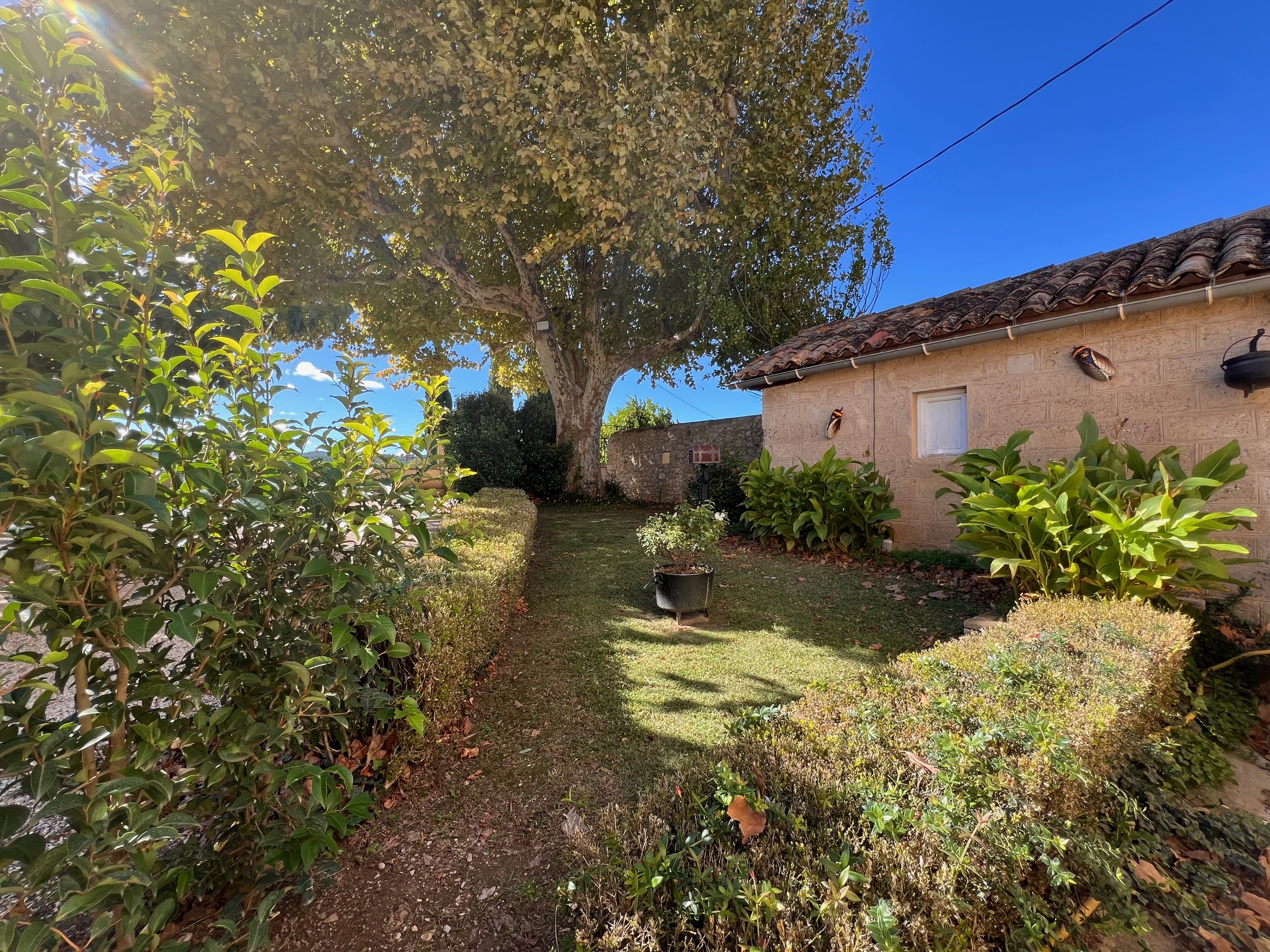DOMAINE REGINE, Le Puy-Sainte-Réparade - photo 11