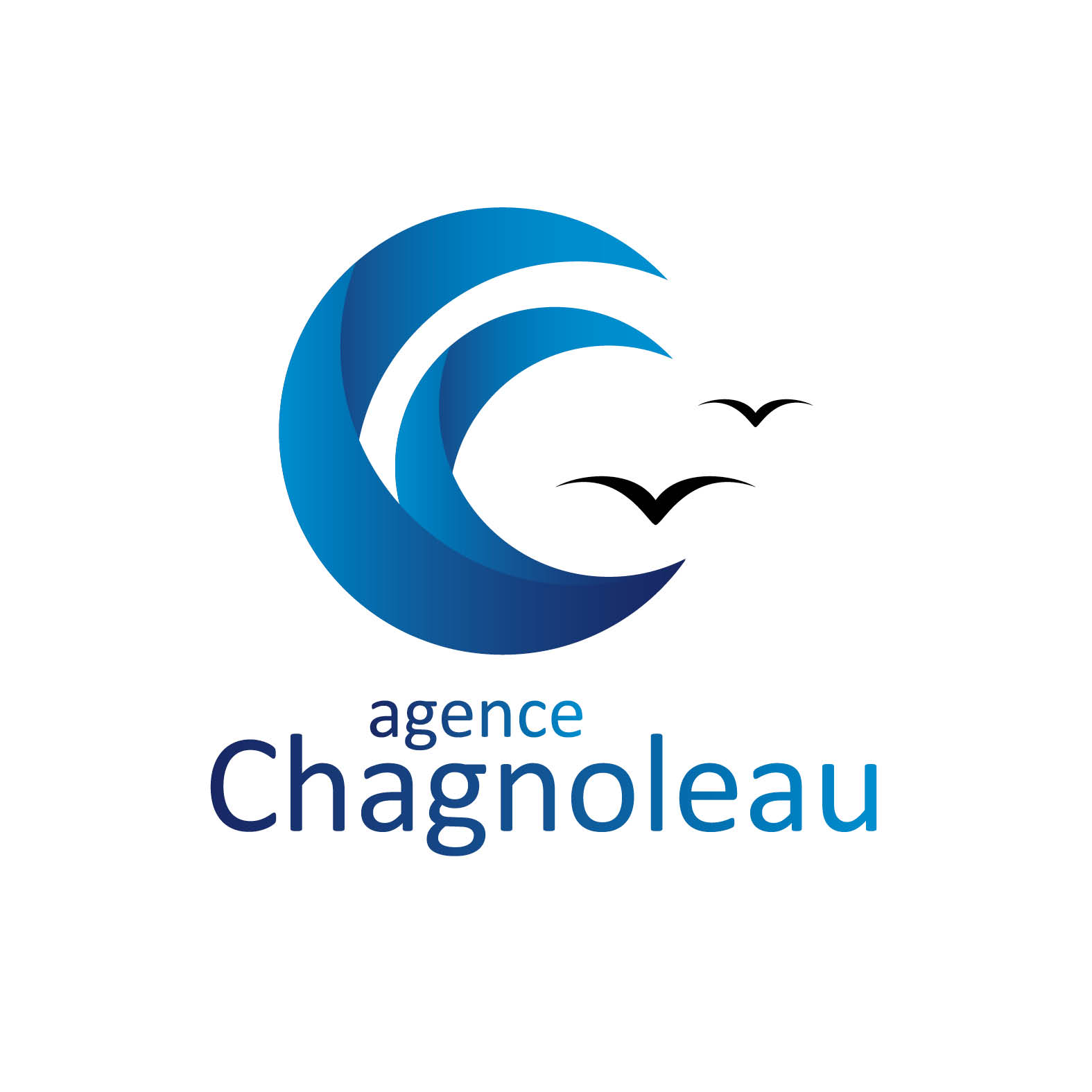 Agence Chagnoleau
