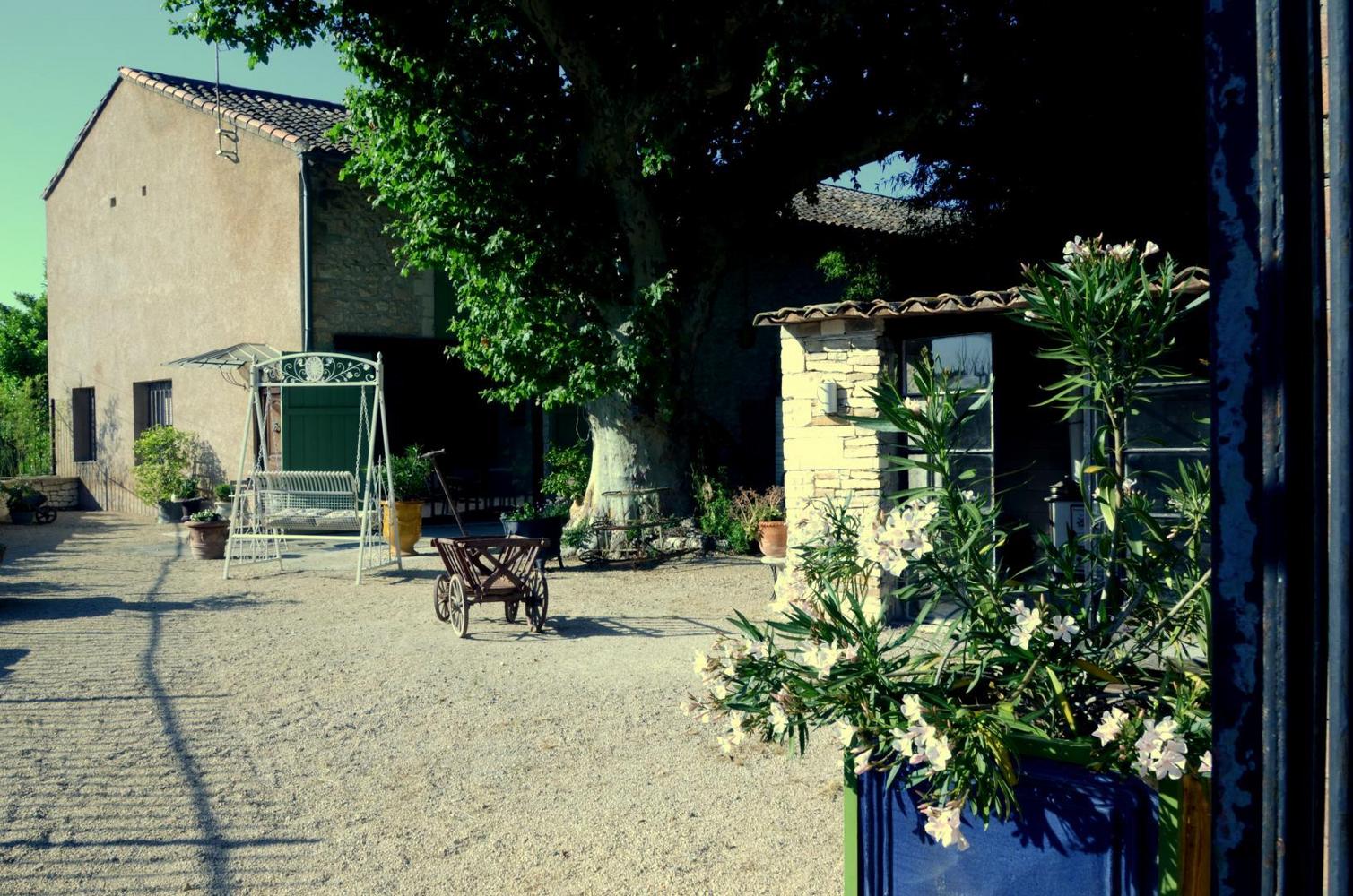 Mas Toulouse, Plan-d'Orgon - photo 14