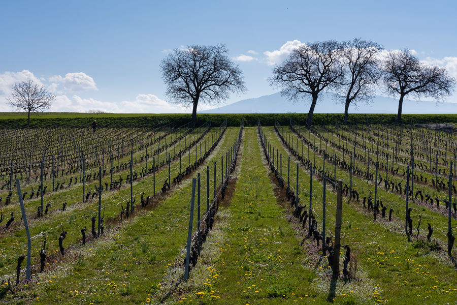 Boucle transfrontalière d'Hermance