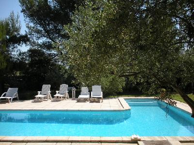 Coquelicot - photo 4