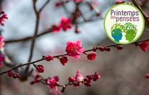 Printemps des pensées 2026 : concert Meylomanies_Meylan