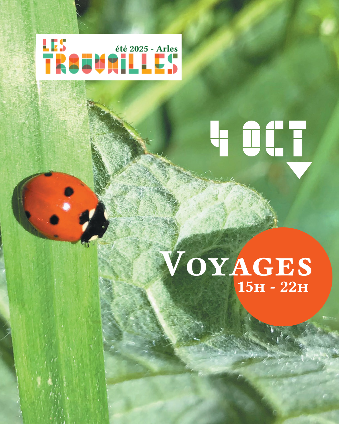 Trouvailles #3