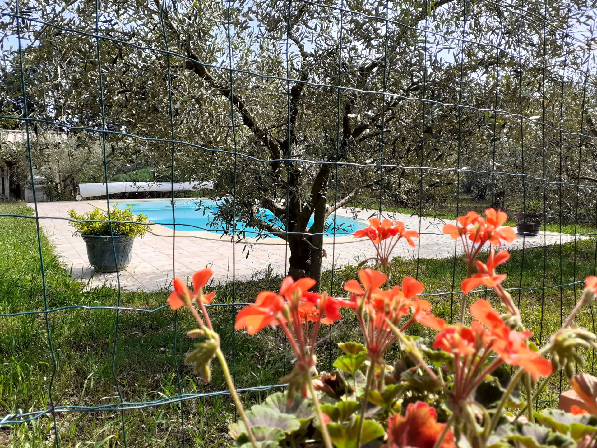 Le Petit Mas de Monge, Tarascon - photo 3