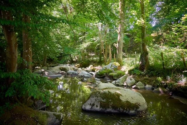 Le Petit Meunier_Messimy