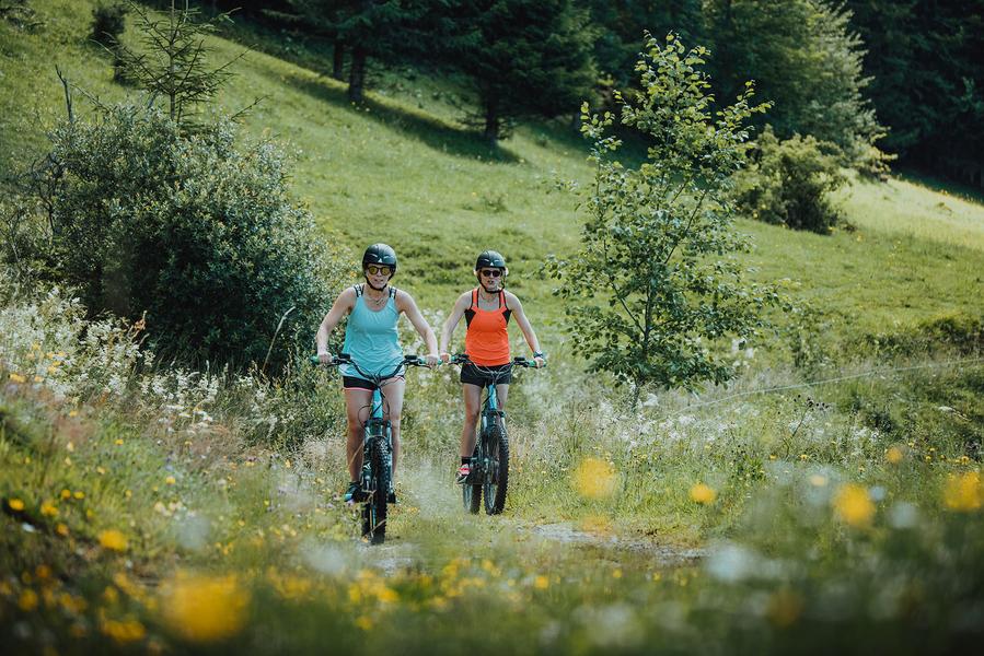 Trottinette électrique tout terrain