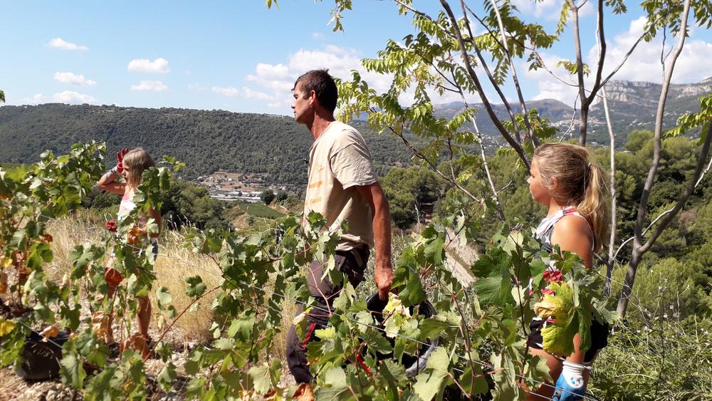 le vigneron et ses filles