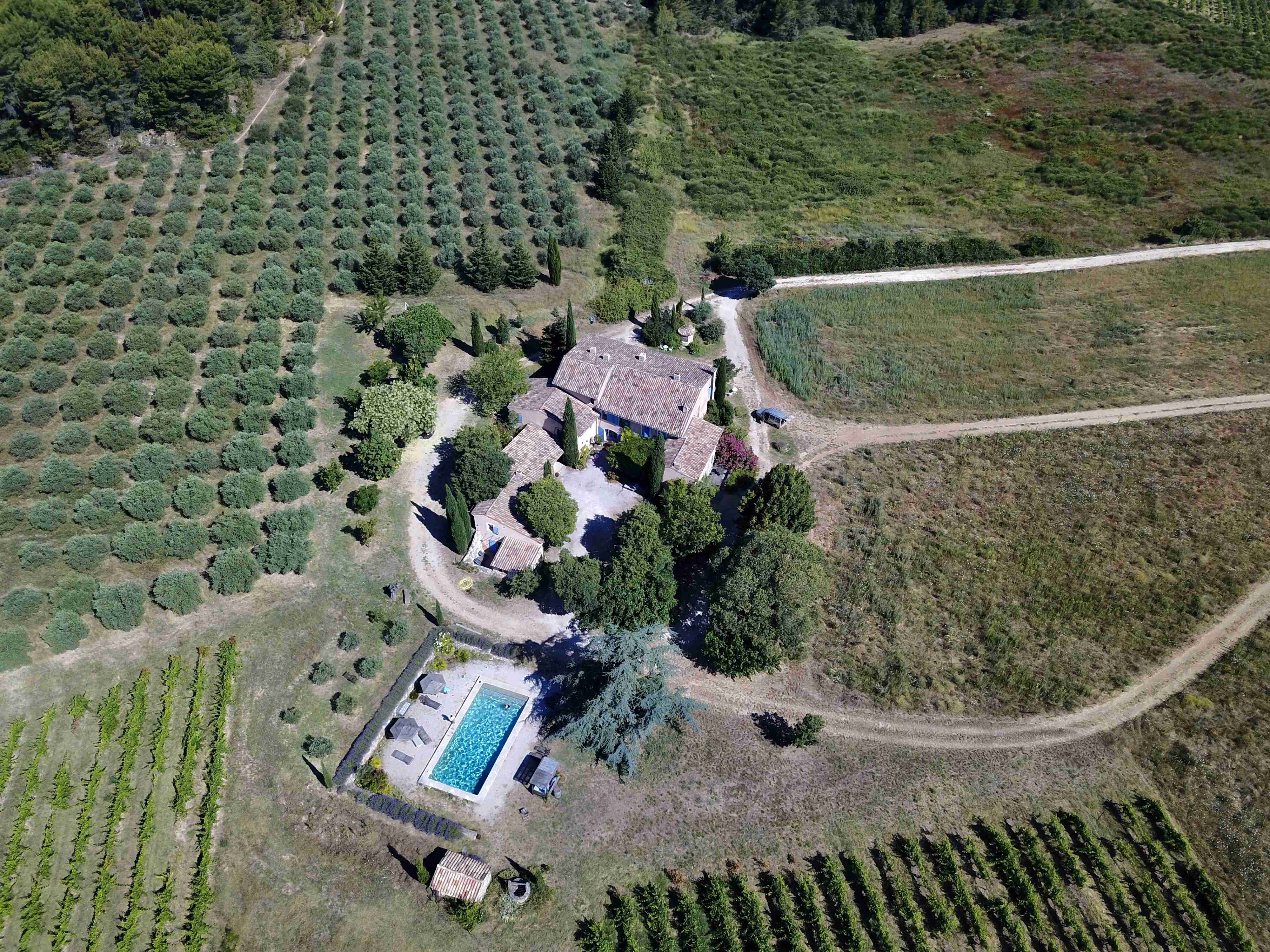 Domaine du Coffre - Gîte des Oliviers, Pertuis - photo 7
