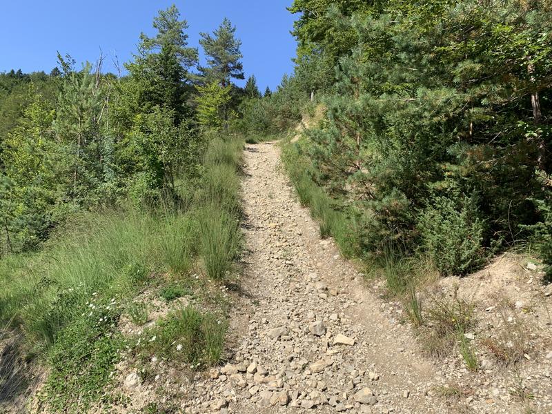 Randonnée - Vallon d'Apremont
