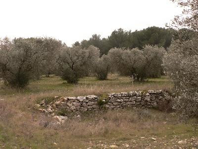 Lançon-Provence : Le sentier de Campagnole
