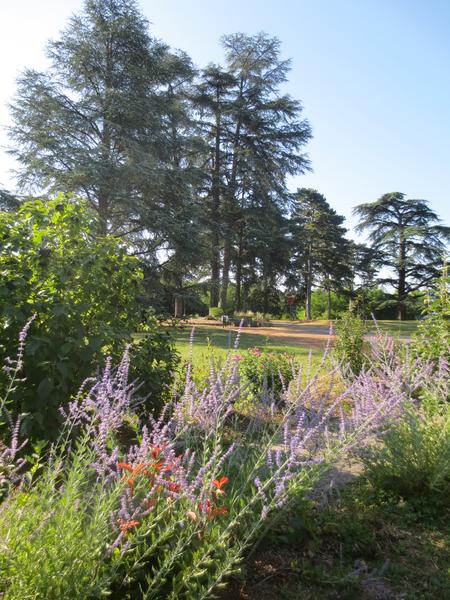 Parc du château de Rochetaillée