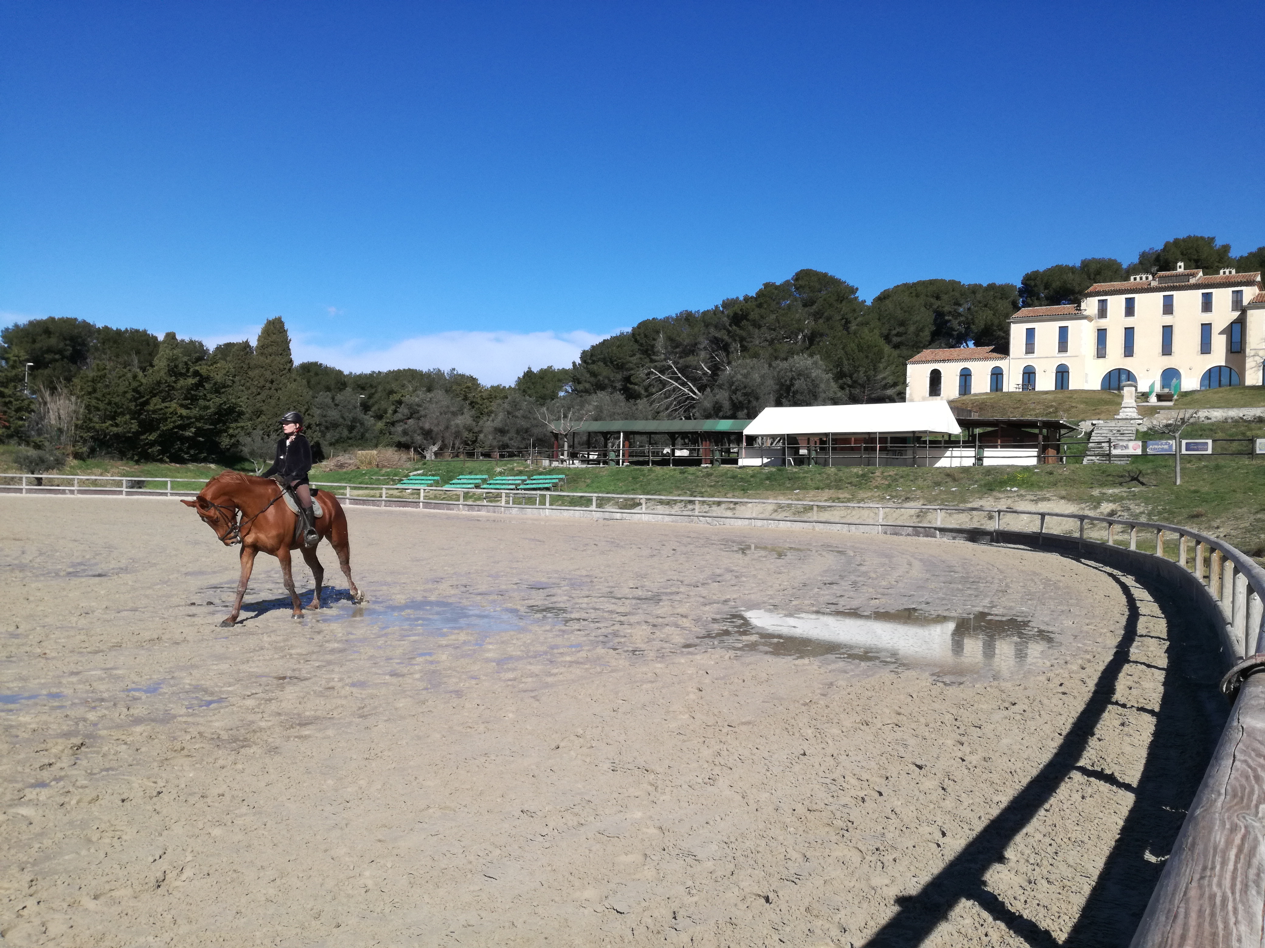 Centre Equestre Le Deven, Istres - photo 2