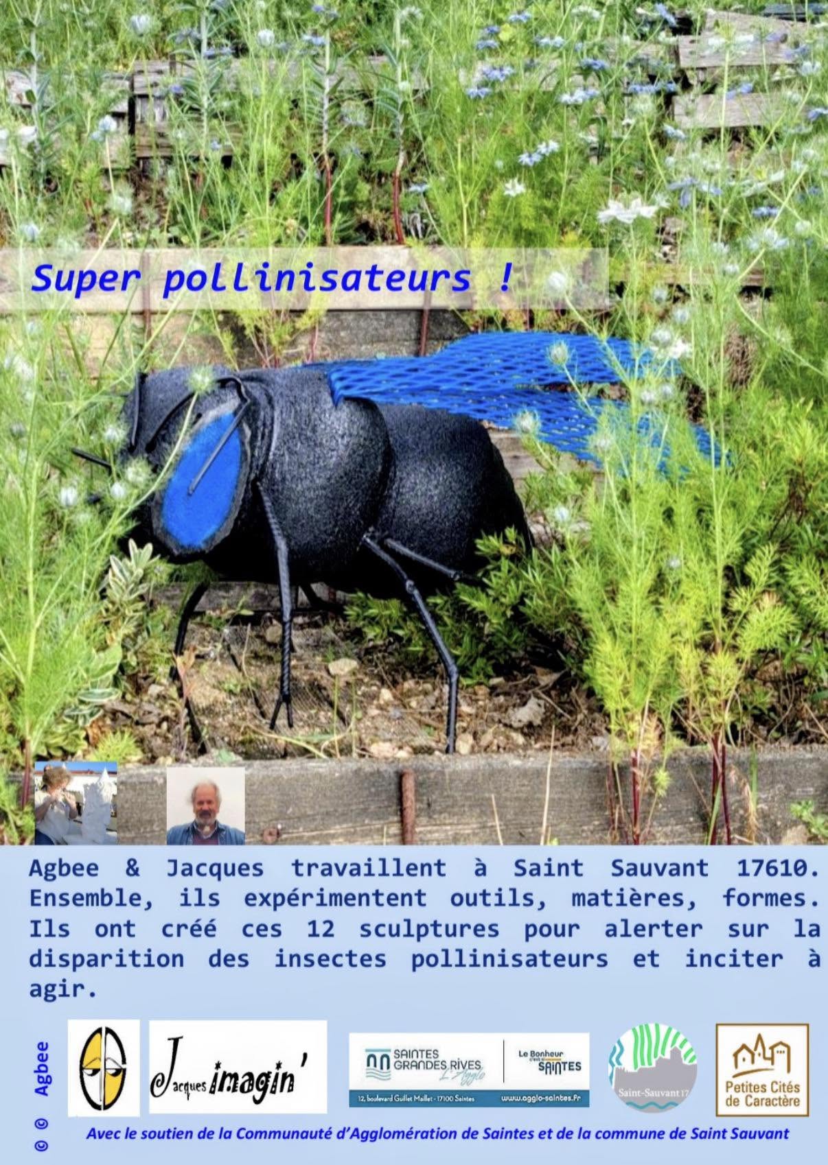 Des supers pollinisateurs à Saint Sauvant
