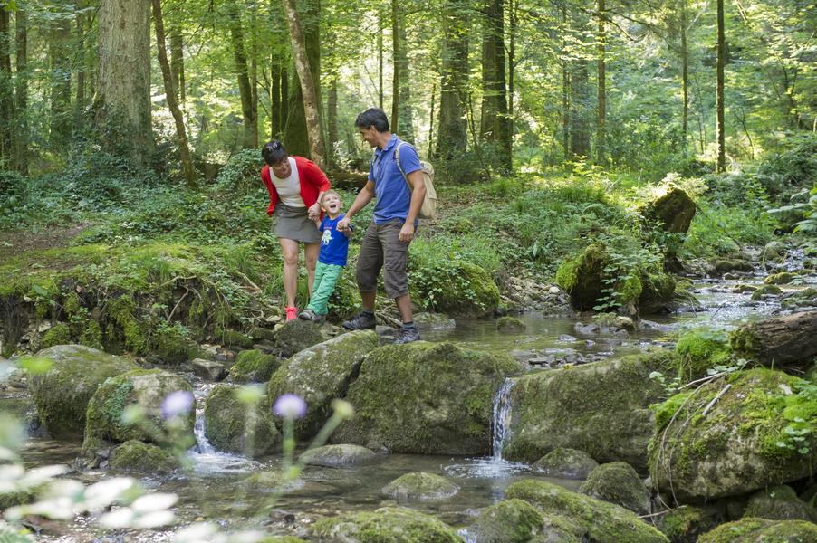 Balade de la Sarsouille