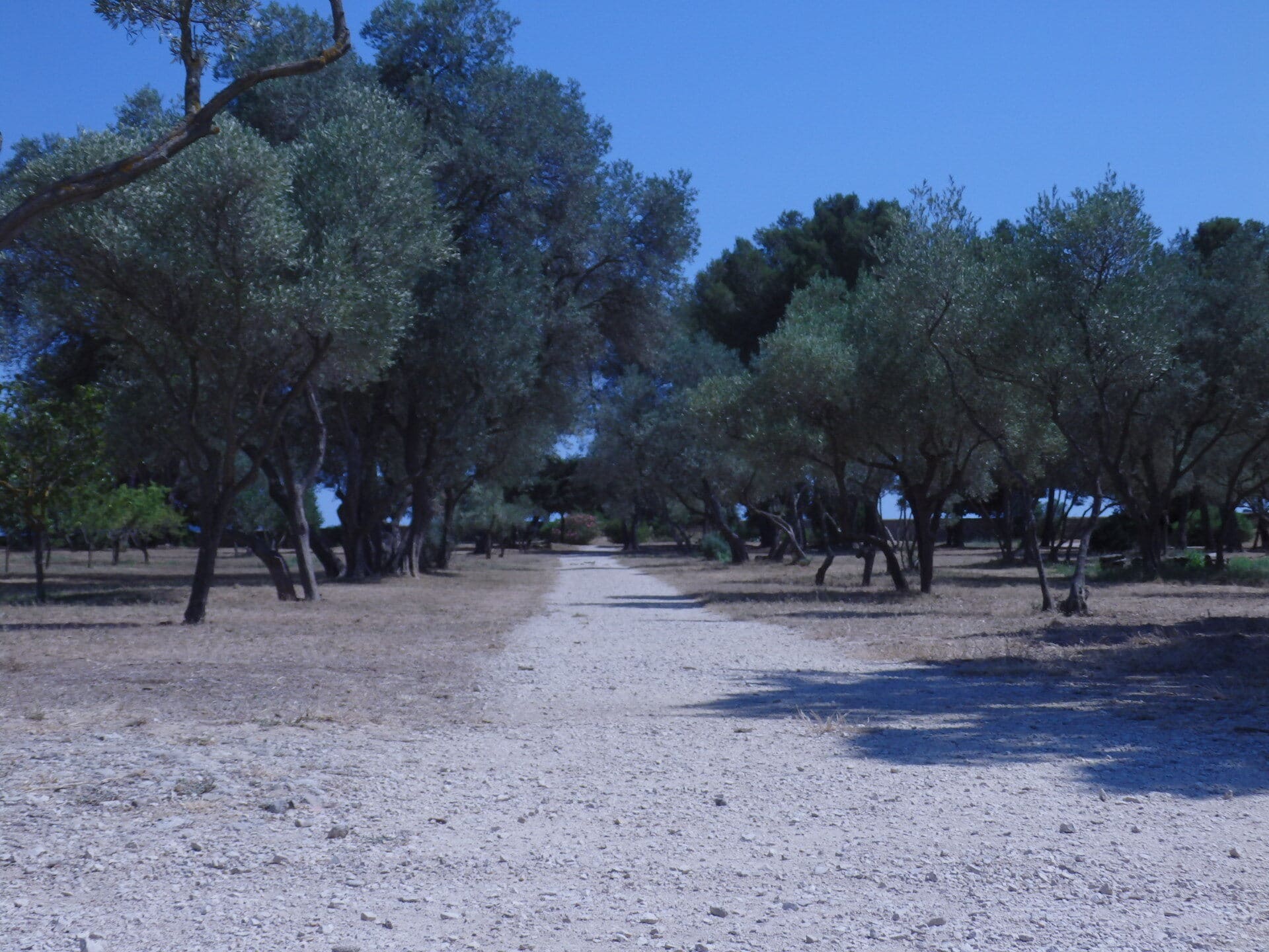 Grand Parc de Figuerolles - Paul Lombard, Martigues - photo 6