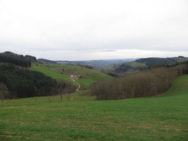 Circuit 6 Bisserole