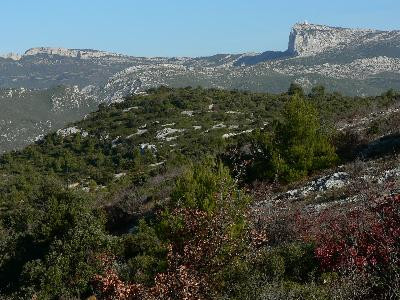 La chapelle Saint André