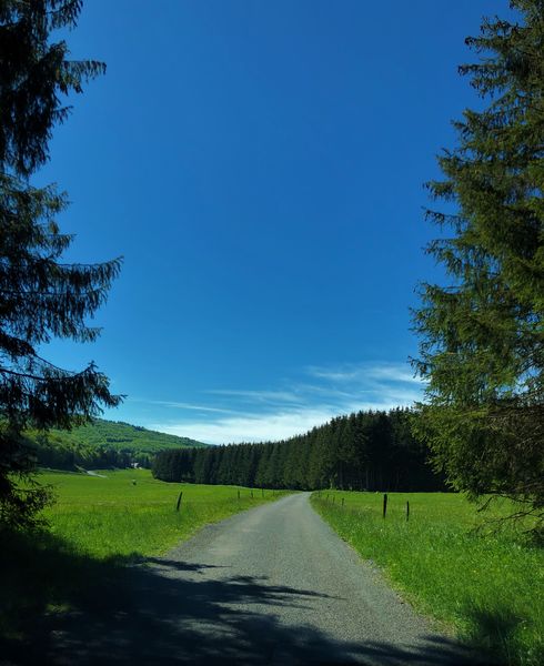 Le Plateau de Retord entre combes et cols