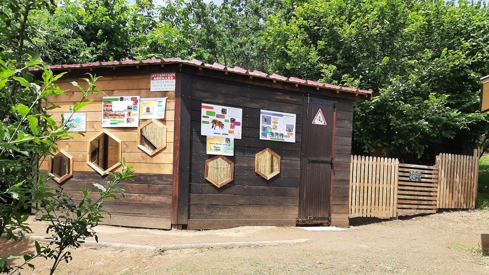 Découverte des abeilles et atelier bougie