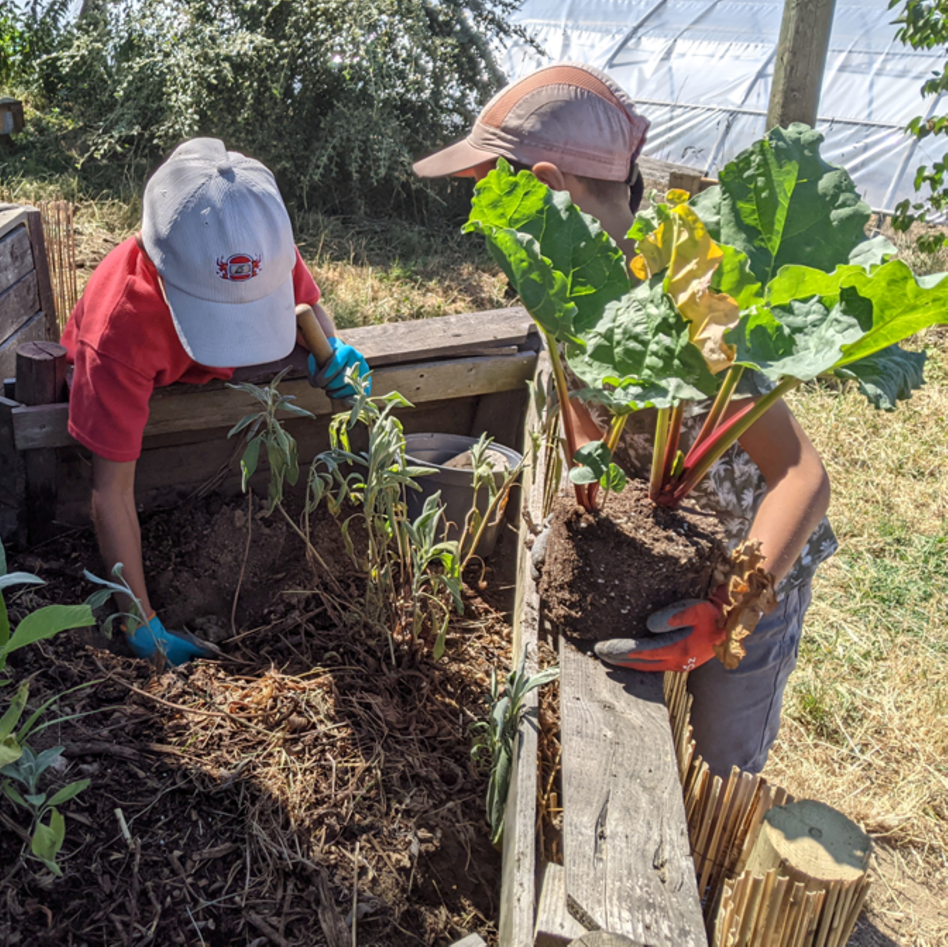 Ateliers jardin & agriculture durable