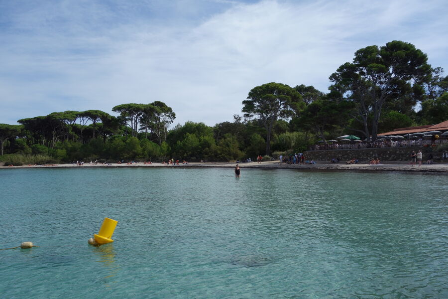 La plage d'argent - Porquerolles