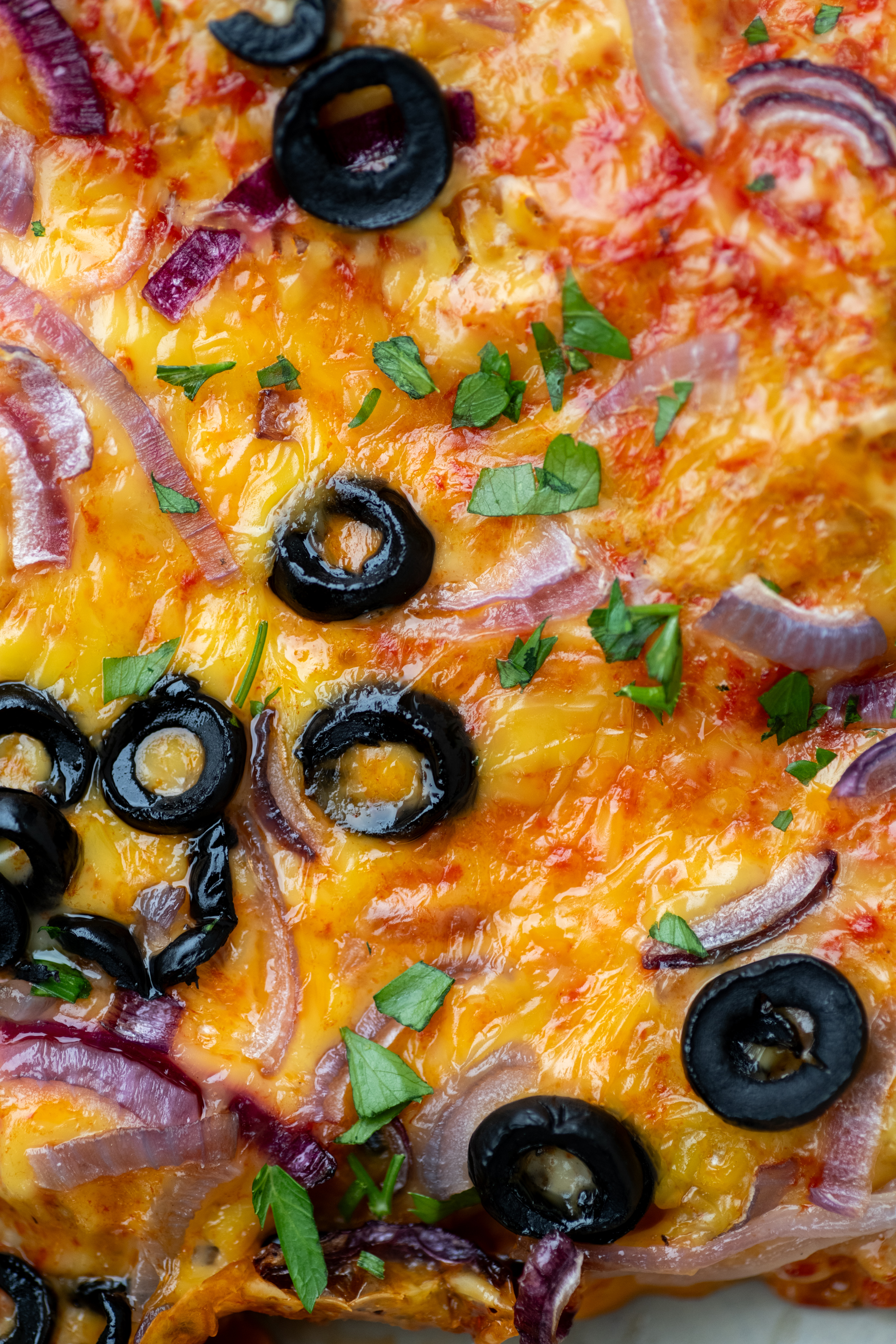 Land&Monkeys - photo 2