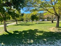 Camping municipal Verdon Carajuan