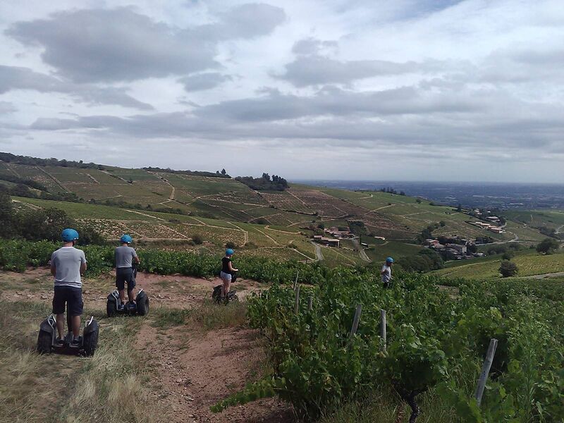 Mobilboard Beaujolais