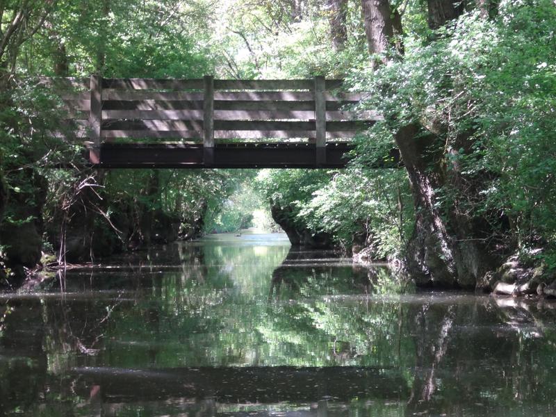 Pont et canard