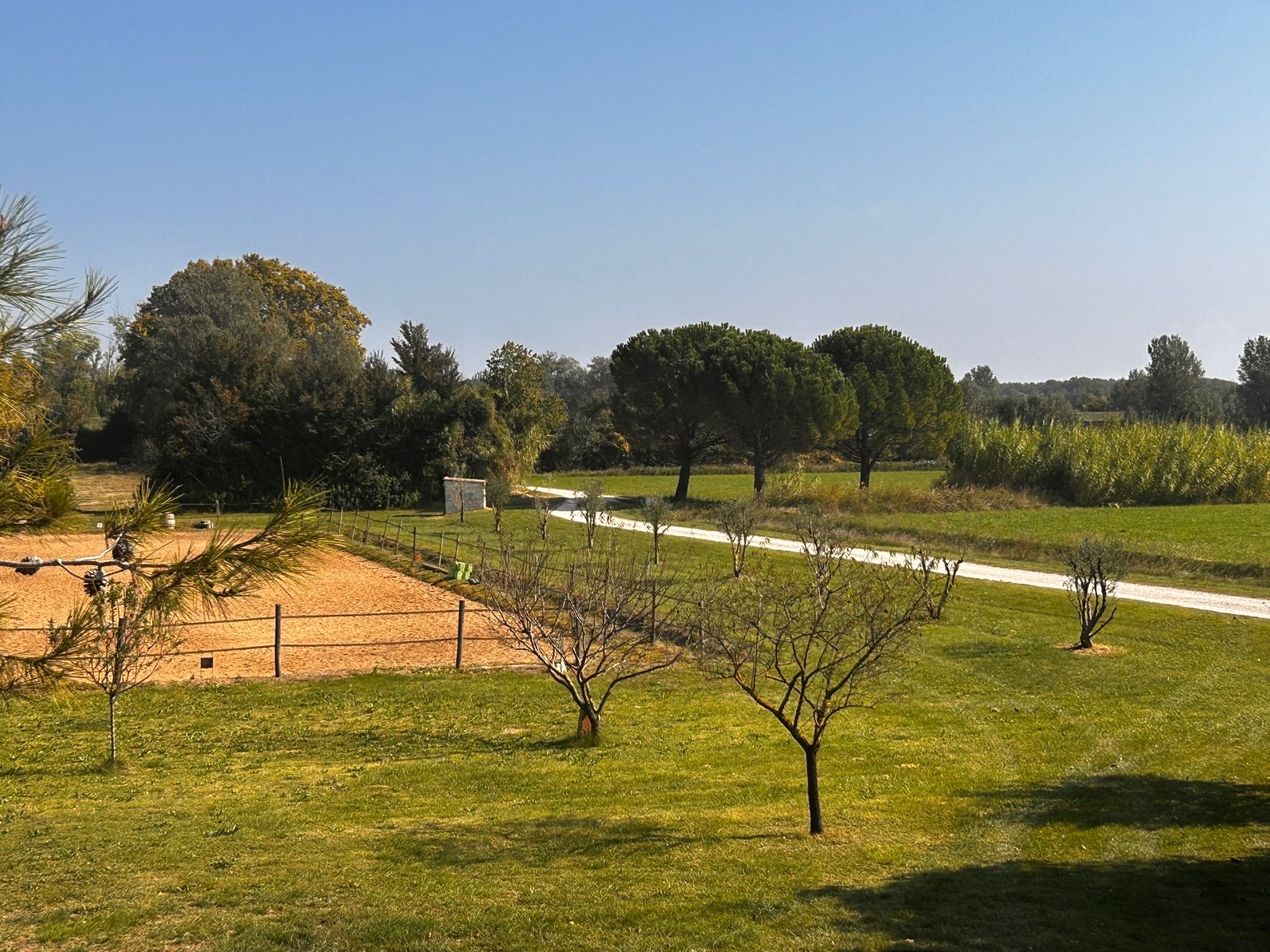 WhatsApp Image 2025-10-23 at 15.04.27