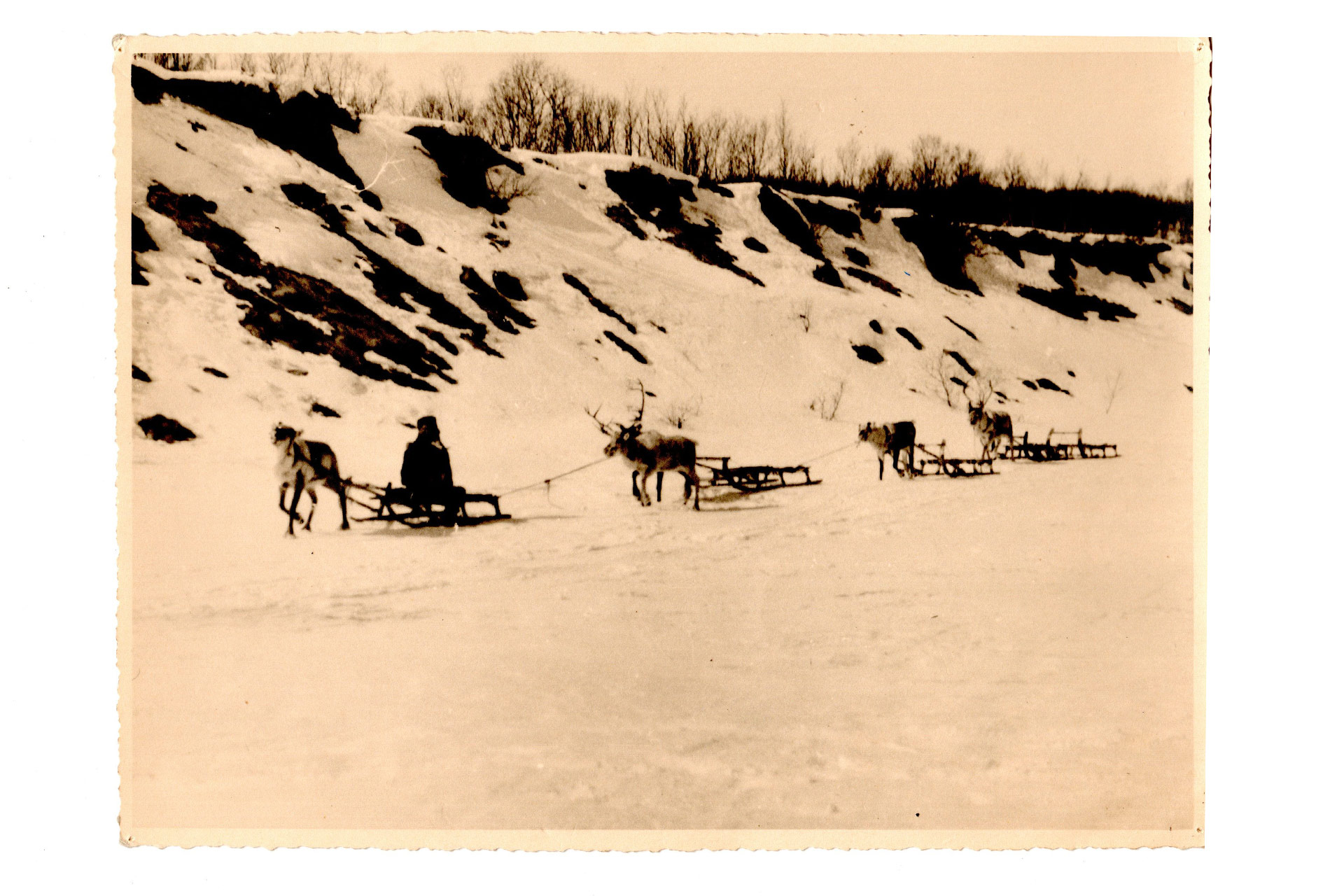 Exposition "Cap Nord 1948, raid à ski"