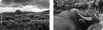 Exposition - Grands formats inspirés par Sebastiao Salgado_Mably