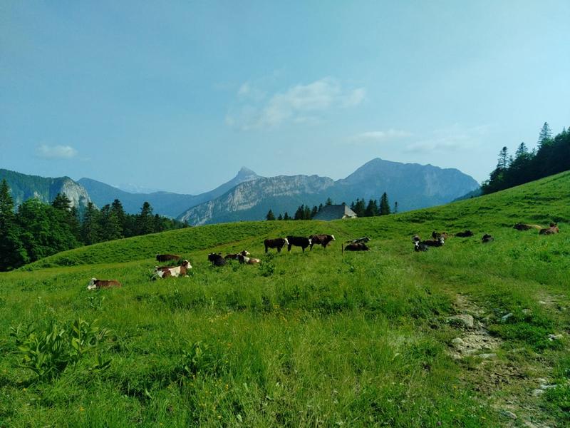 22 - Arpison_Saint-Christophe-sur-Guiers