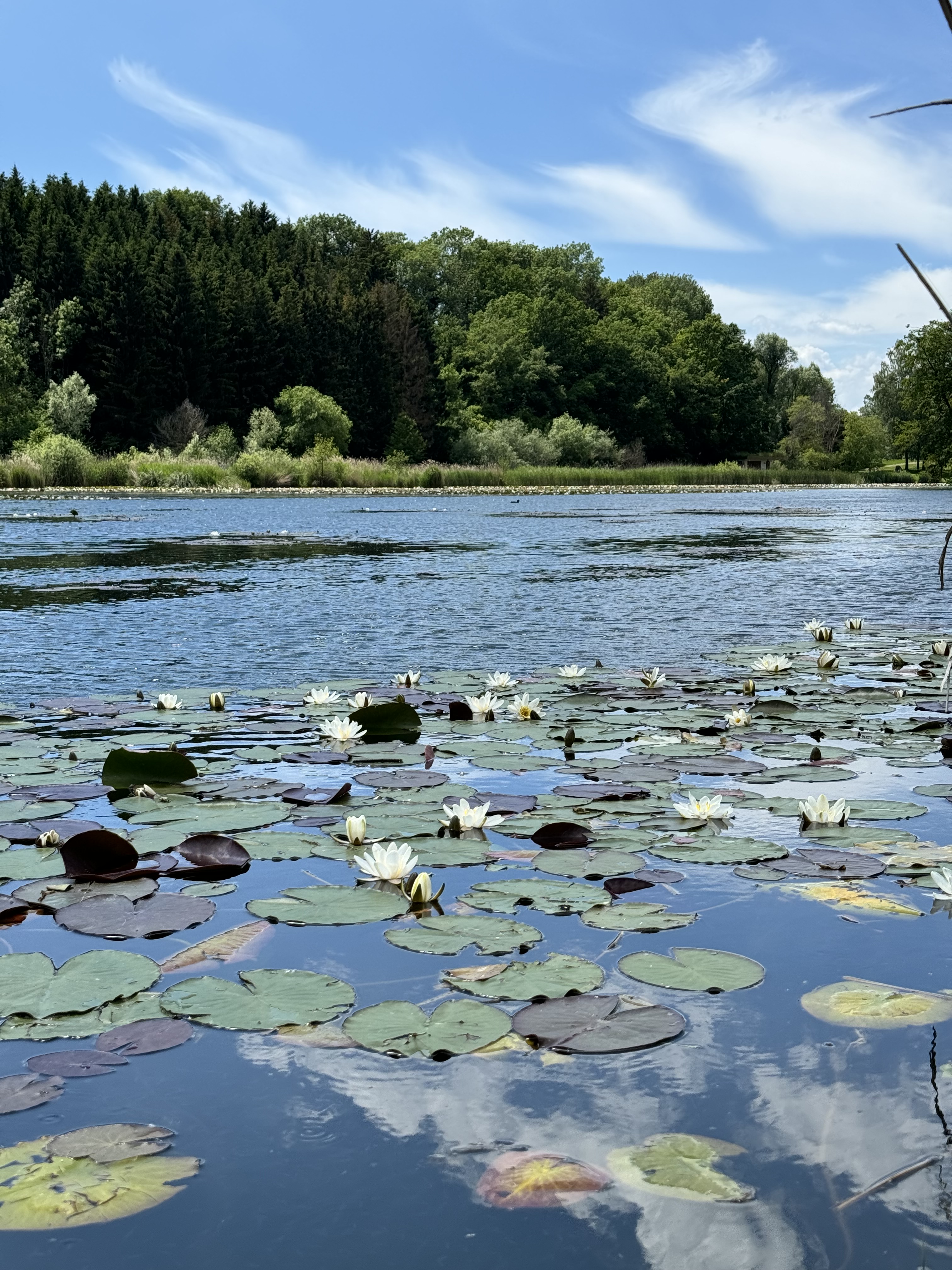 Lac du Môle