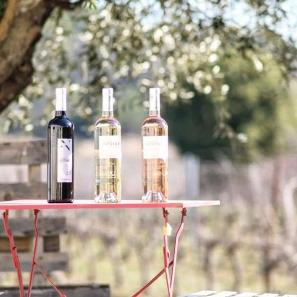 Parenthèse amoureuse au domaine_Cotignac