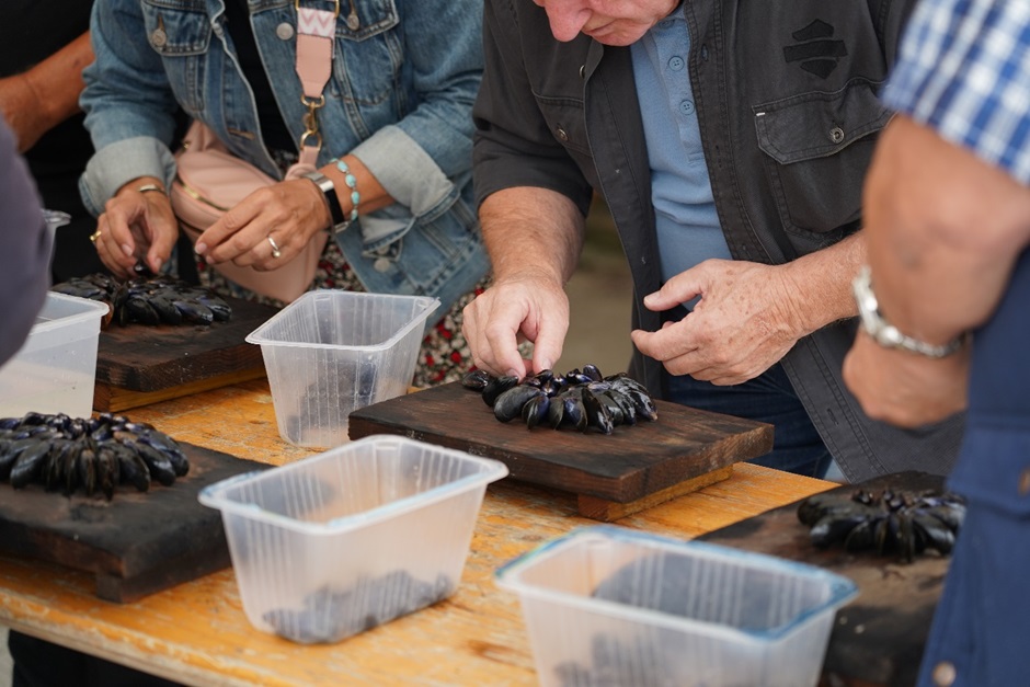 Atelier "Éclade de moules"